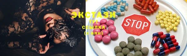 стаф Алзамай