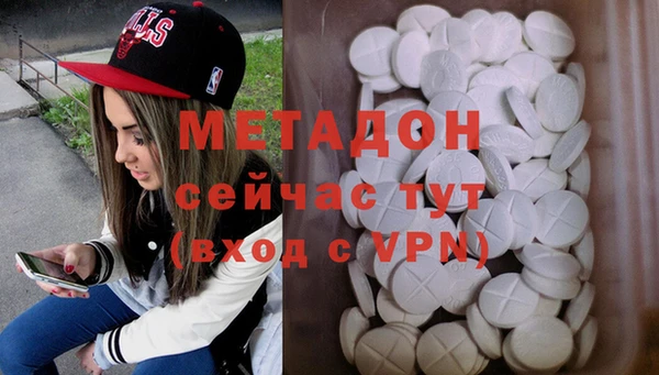 стаф Алзамай