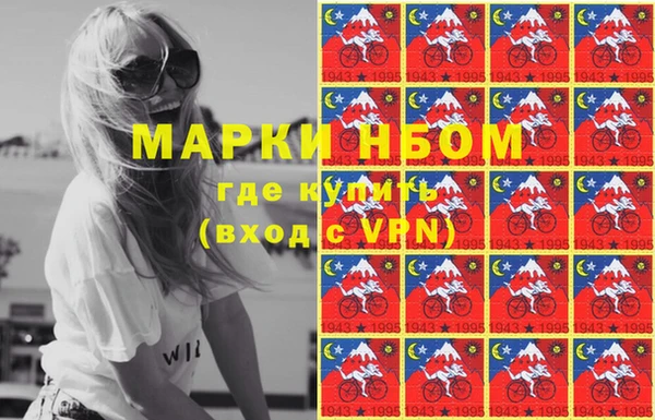 стаф Алзамай